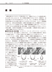 内容見本2