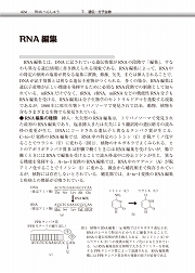 内容見本3
