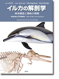 概要)イルカの解剖学 ～身体構造と機能の理解～